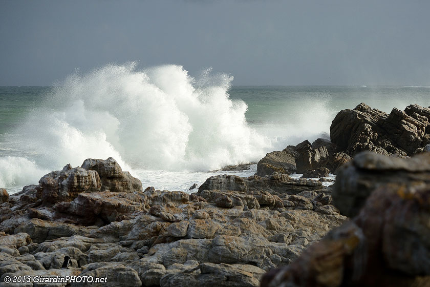 Betty's Bay