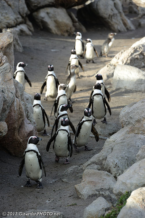 Heigh-ho, heigh-ho, on rentre du boulot !