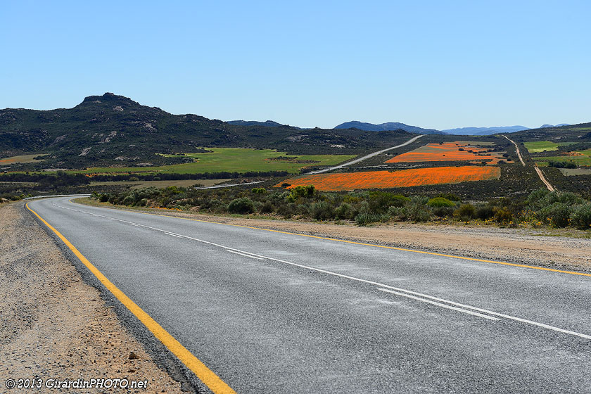Route du Namaqualand