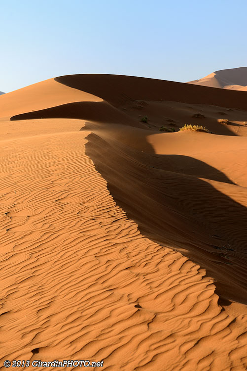 le sommet des petites dunes ressemble à des vagues!