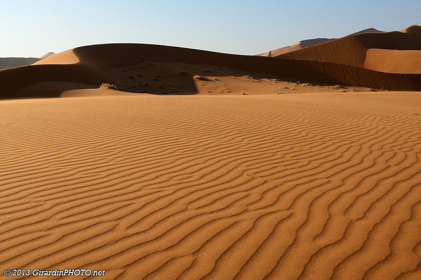 Le royaume du marchand de sable