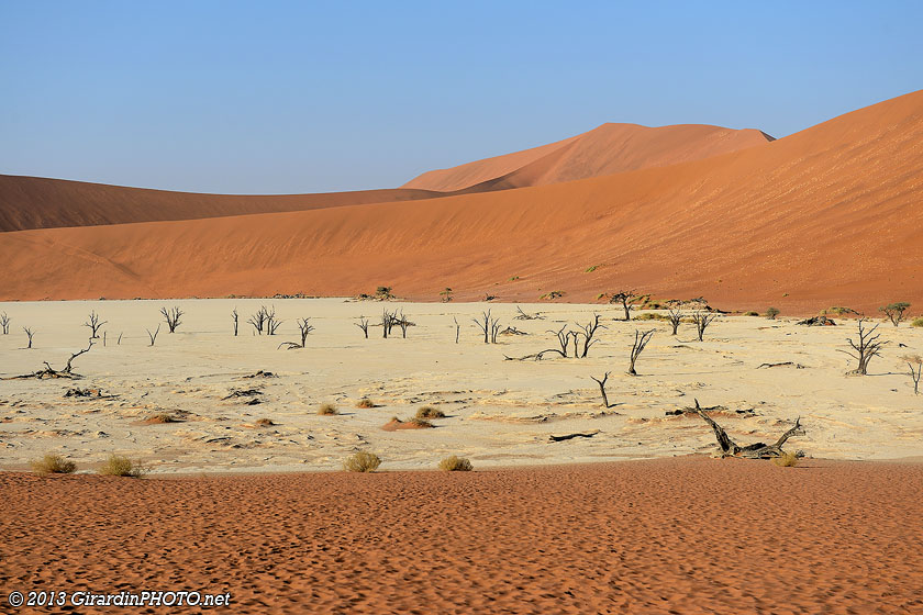 Vue sur Dead Vlei