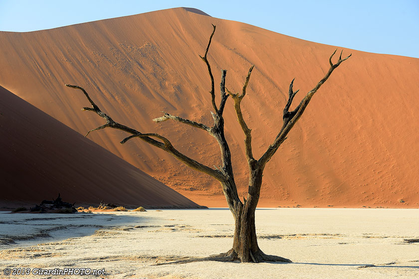 Arbre mort à Dead Vlei