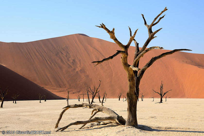 Dead Vlei et ses arbres morts