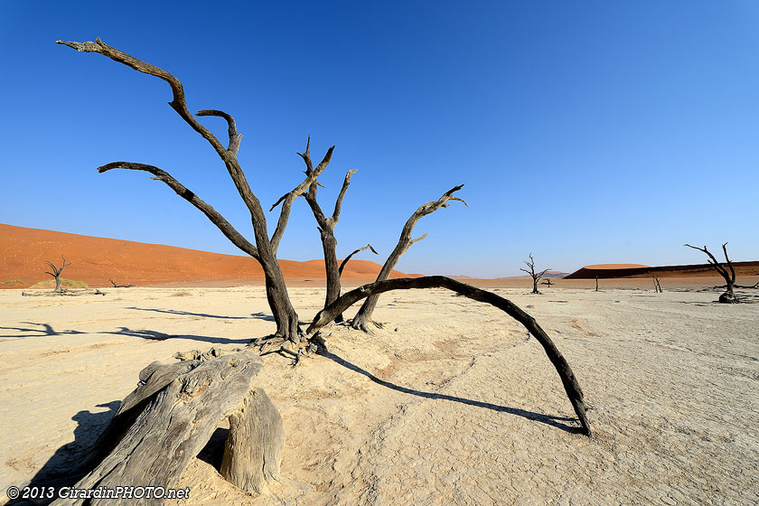 Arbres morts à Dead Vlei