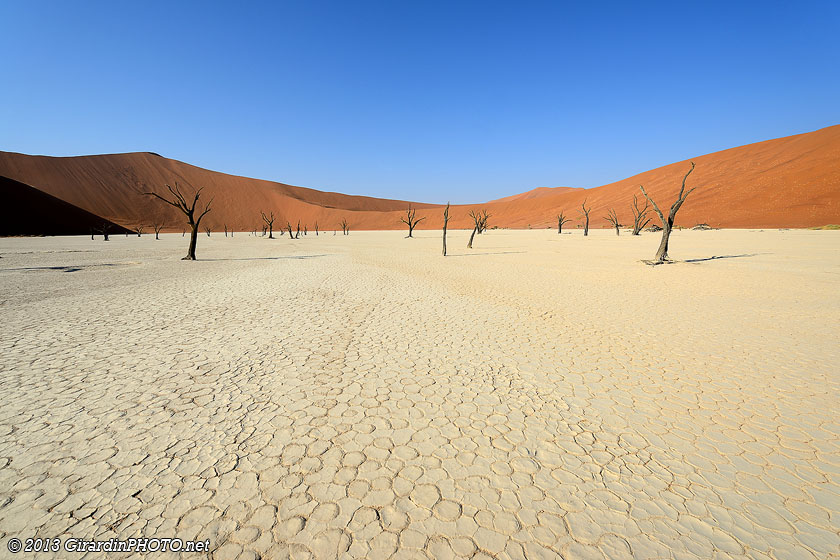 Dead Vlei
