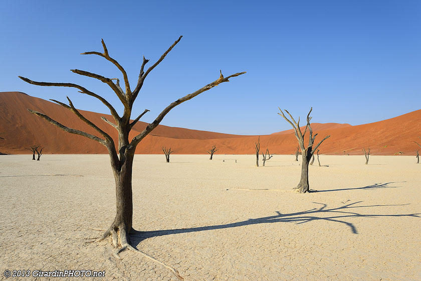 Dead Vlei et ses arbres morts