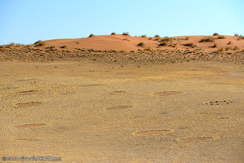 Cercles de fées au bord de la route Sesriem - Sossusvlei