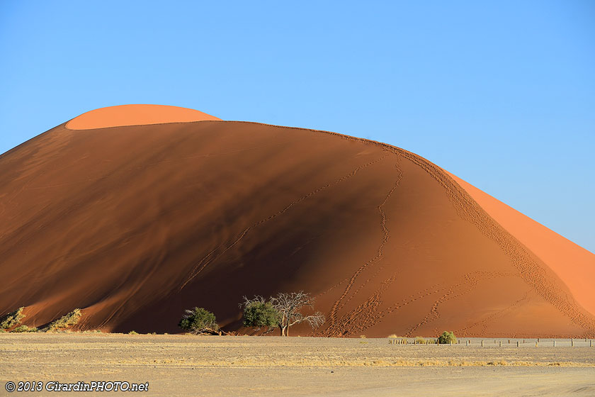 Dune 45
