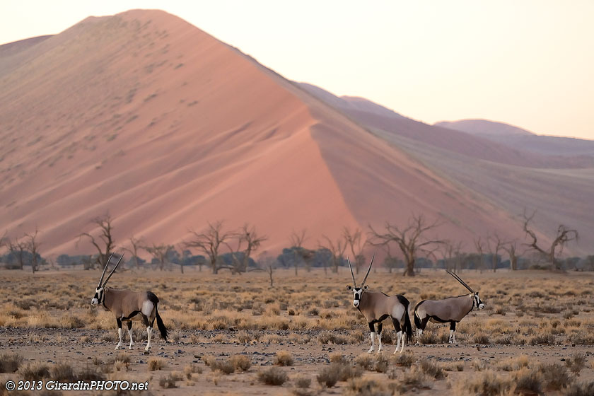 Les dunes juste avant la tombée de la nuit
