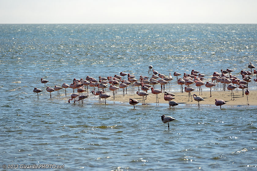 Walvis Bay