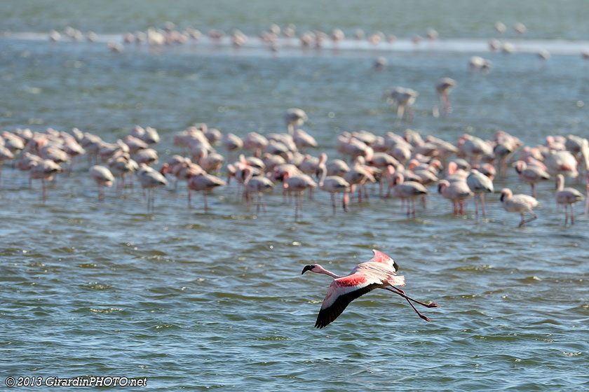 Walvis Bay