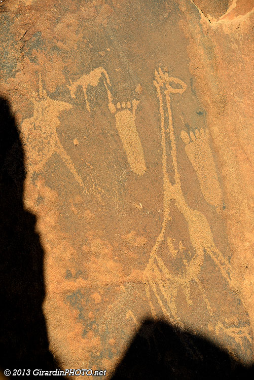 Gravure de girafe et de pieds