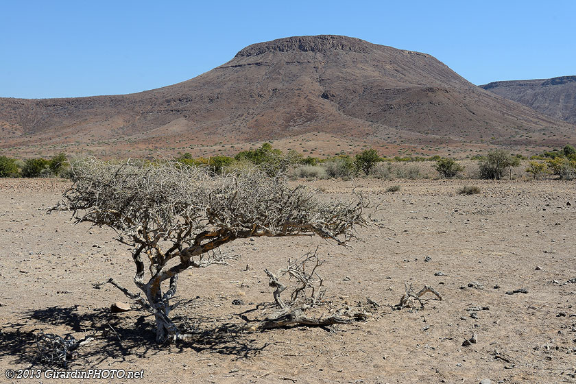 La Namibie est vraiment très sèche au mois d'août