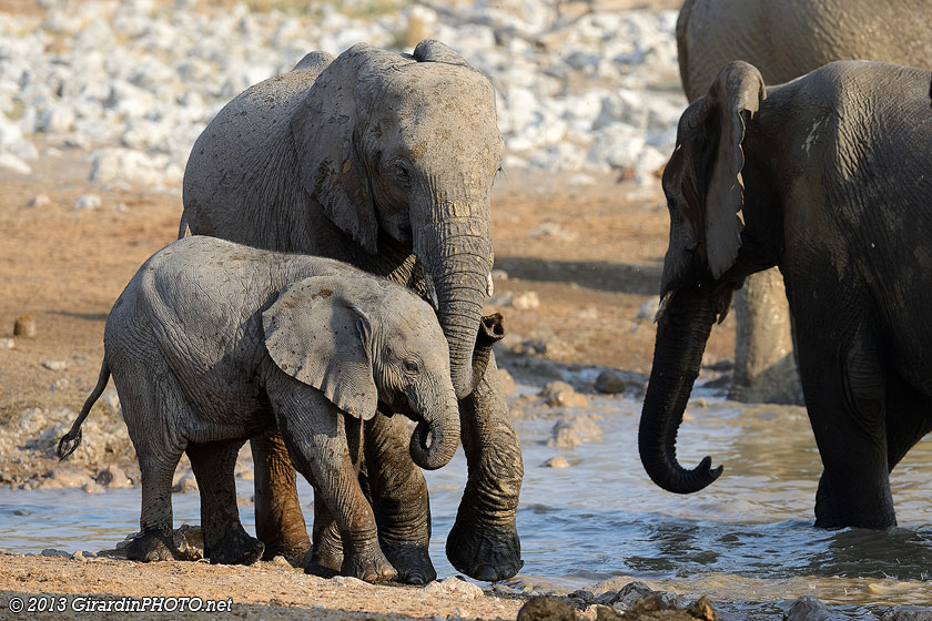 Entraide familiale