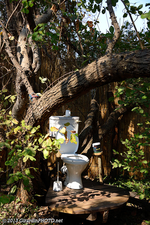Toilet of Eden