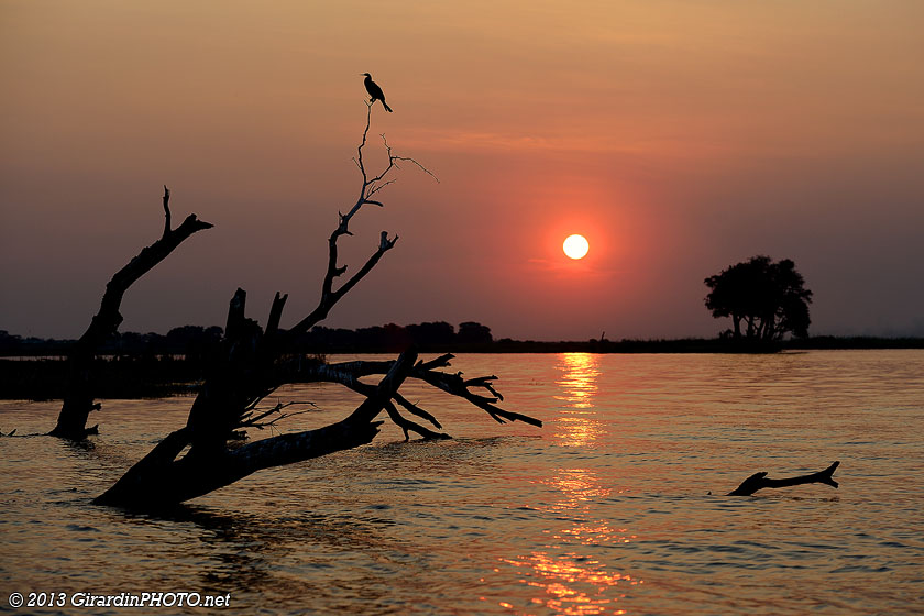 Coucher du soleil sur la Chobe River