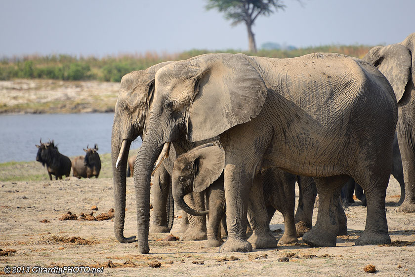 Famille unie