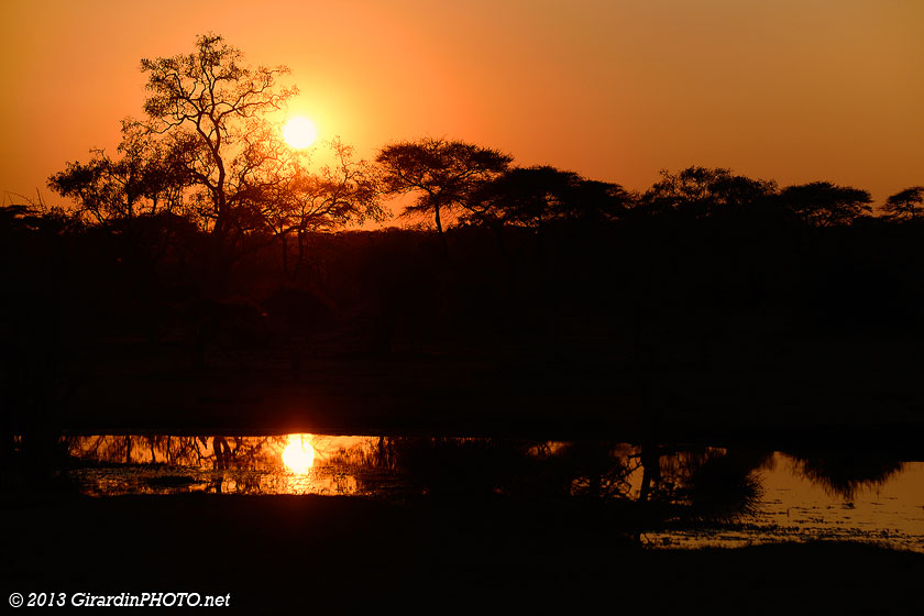 Lever du soleil sur le point d'eau du Senyati Safari Camp