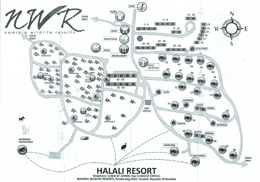 Halali Camp