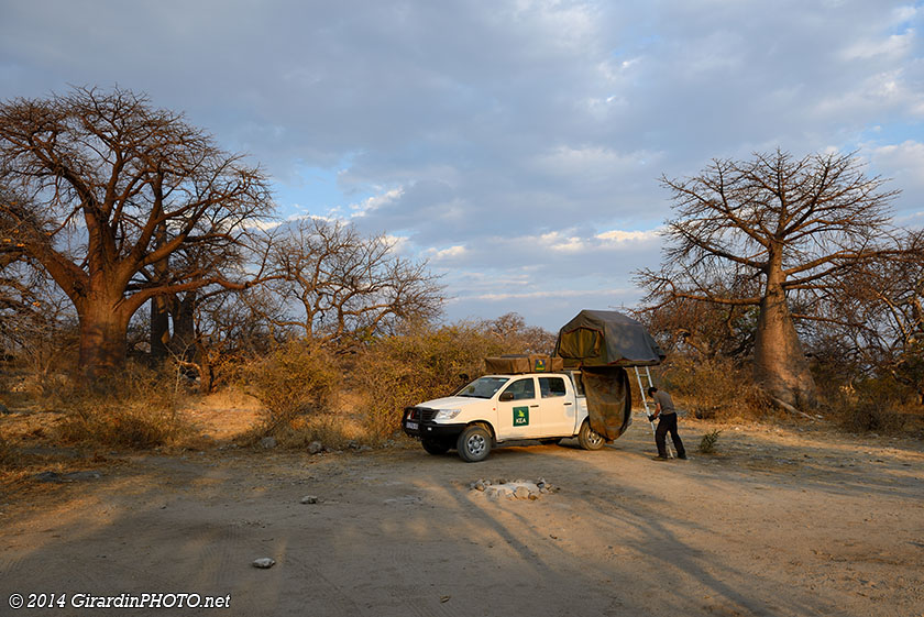 Emplacement n°2 entre les baobabs