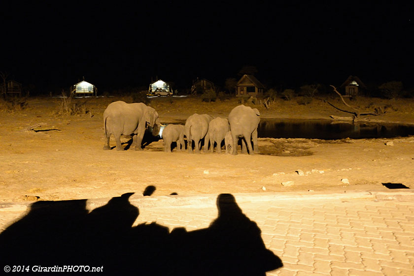 Point d'eau d'Elephant Sands