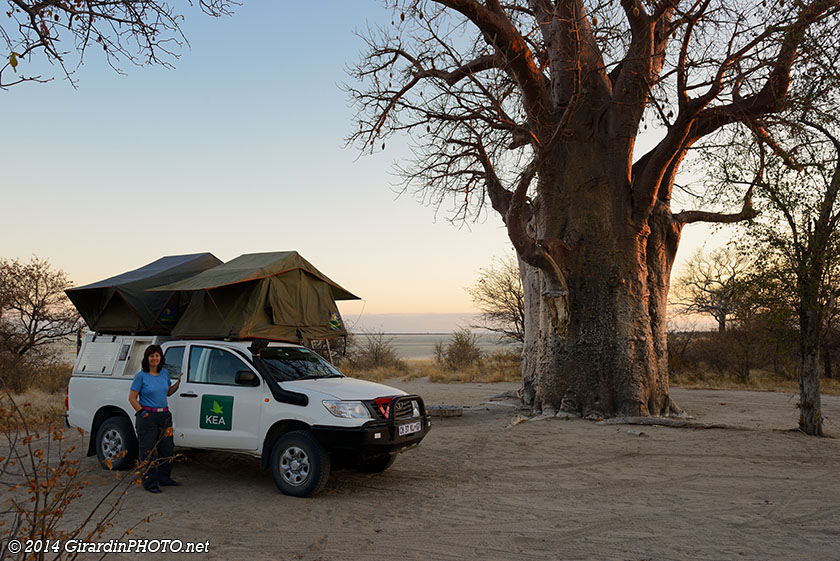 Baines Baobabs Campsite (BO3)