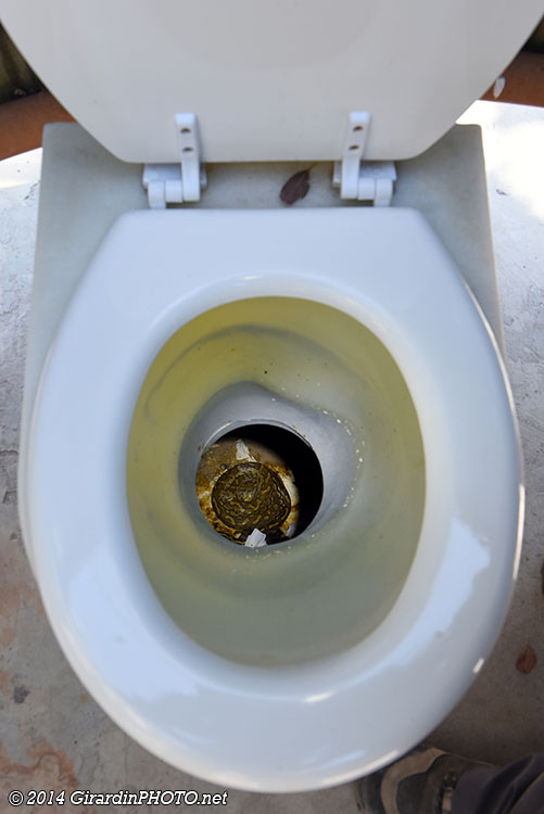 Nos toilettes avec un visiteur