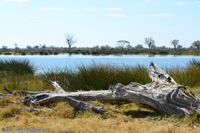 Gogathebe River