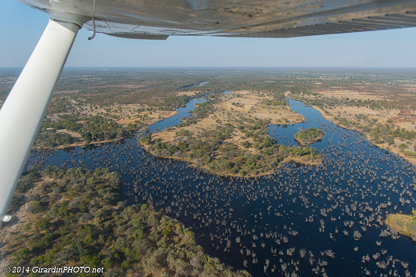 Vol en avion au dessus du Delta de l'Okavango