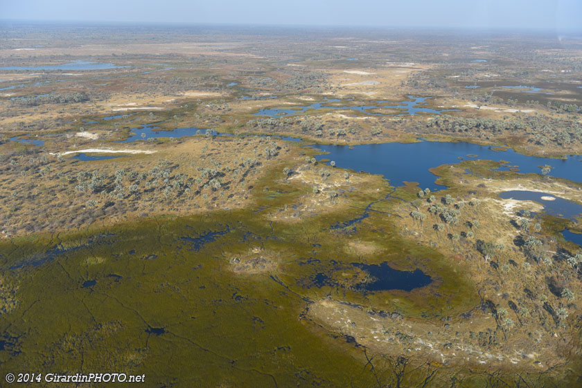 Vol en avion au dessus du Delta de l'Okavango