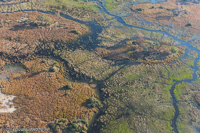 Vol en avion au dessus du Delta de l'Okavango