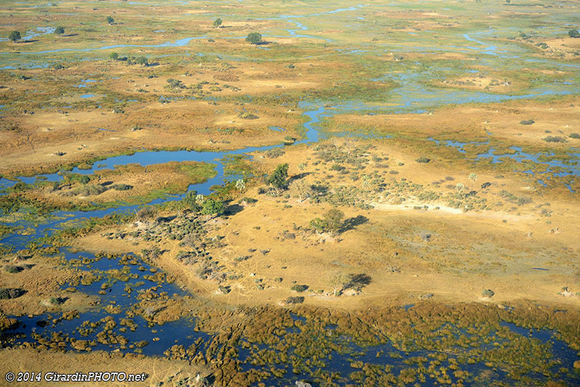 Vol en avion au dessus du Delta de l'Okavango