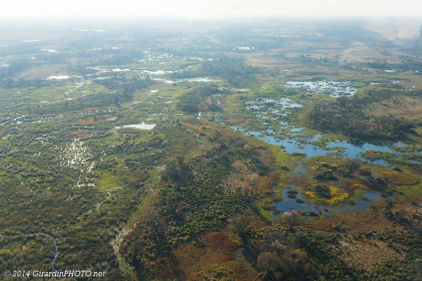 Vol en avion au dessus du Delta de l'Okavango