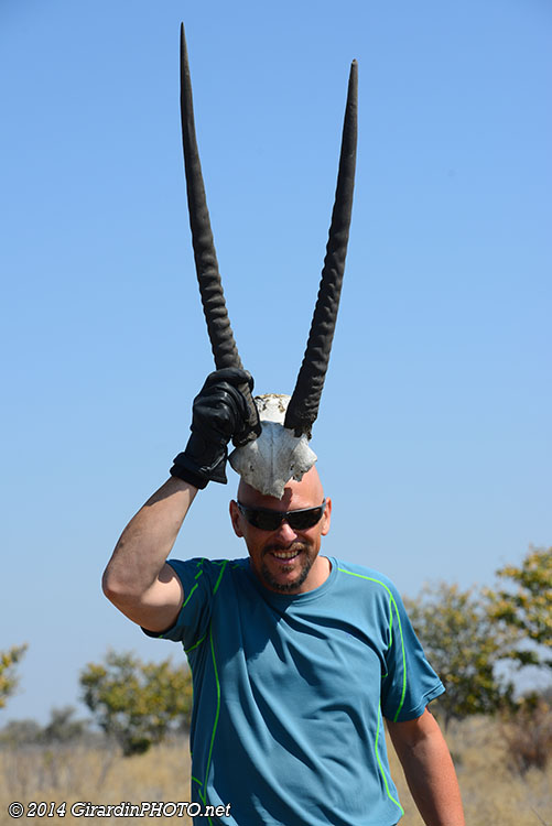 Celui-là, je ne suis pas sûr que c'est un oryx !