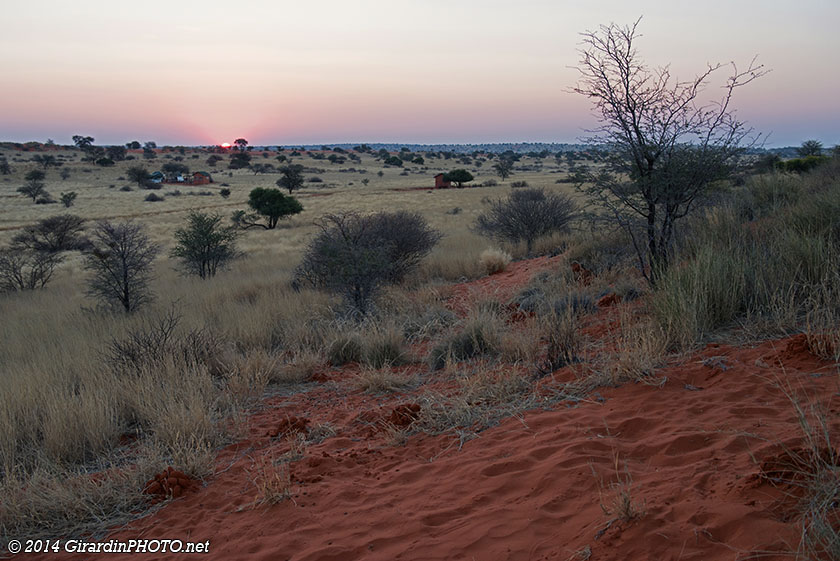Coucher de soleil sur le campement de Bagatelle Kalahari Game Ranch