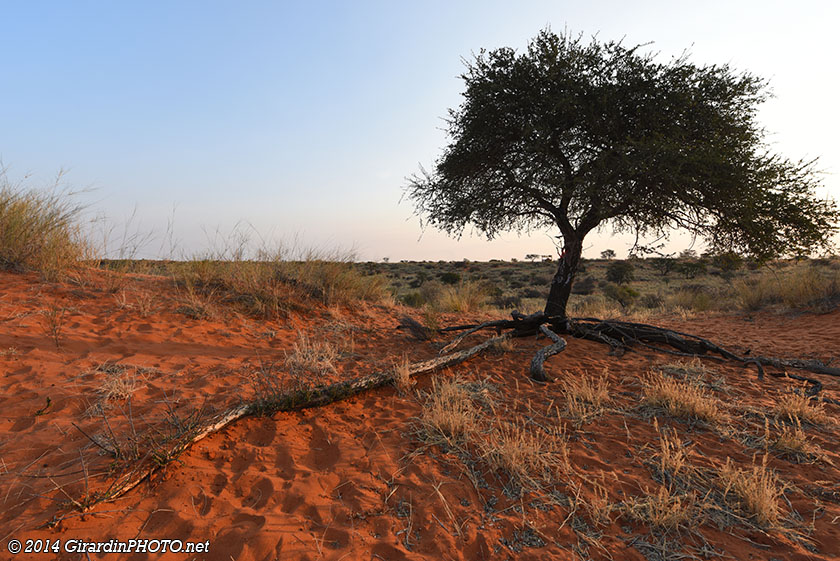 Promenade dans les dunes