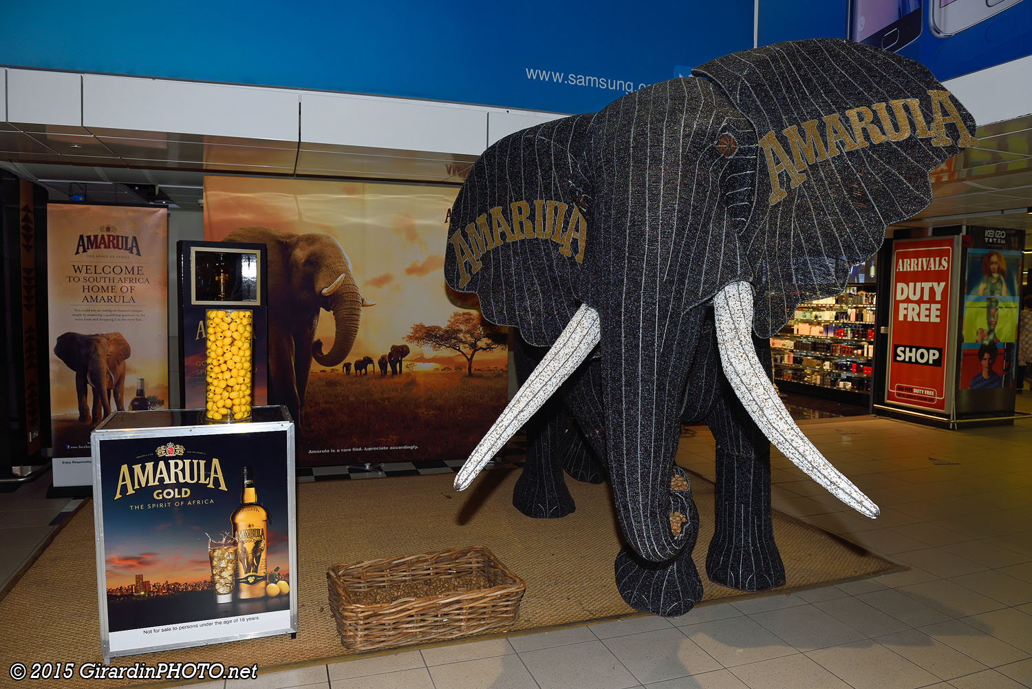 Eléphant Amarula