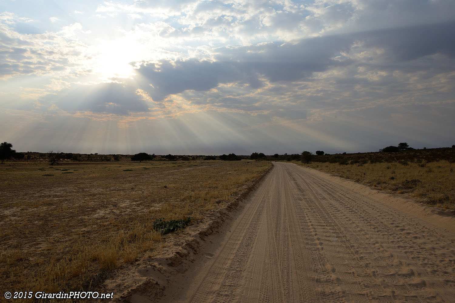 Lever de soleil au Kgalagadi Transfrontier Park