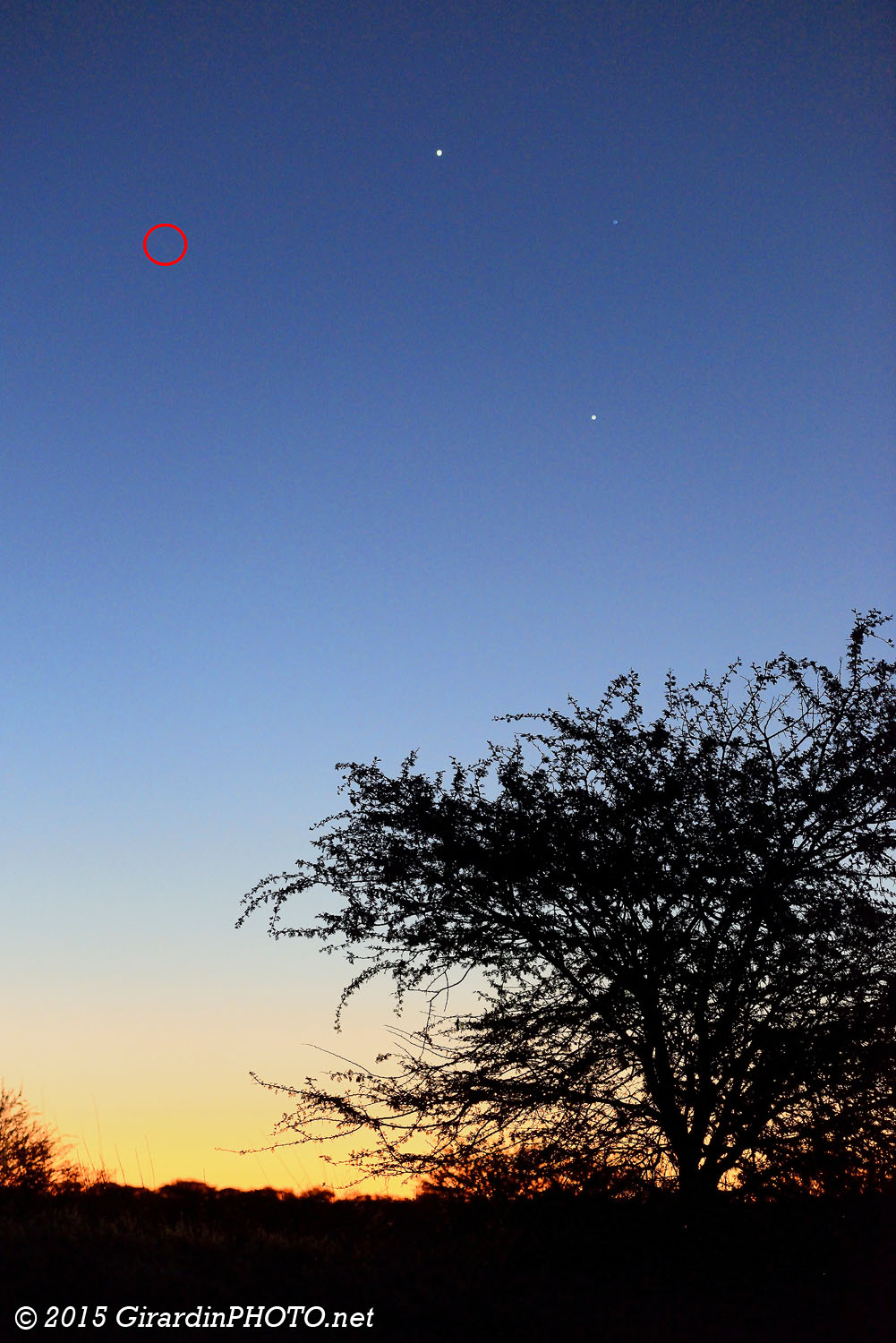 Vénus (en haut), Jupiter (en bas), Régulus (à droite) et la comète C/2014 Q1 (dans le cercle rouge)