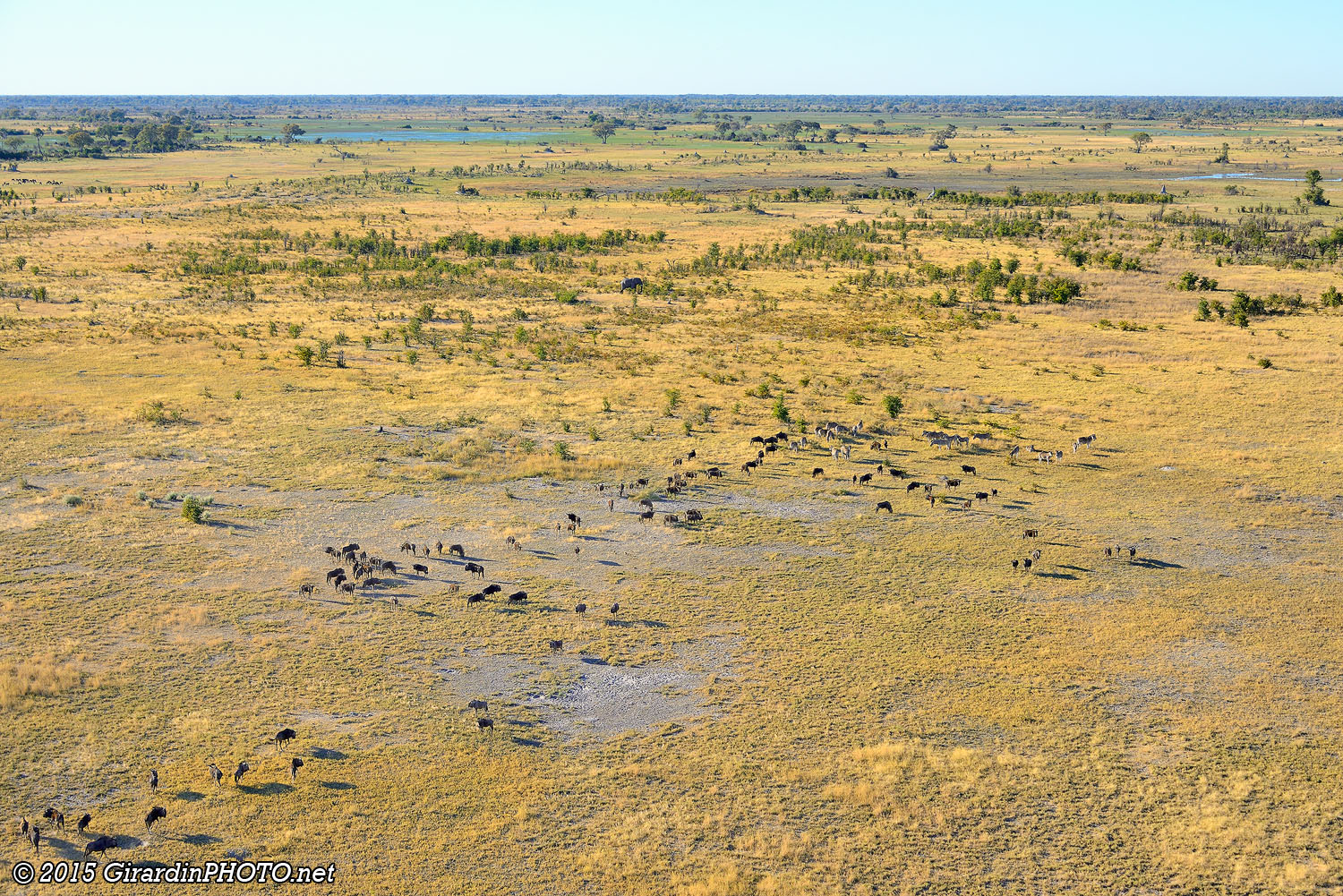 Vol en hélicoptère au dessus du Delta de l'Okavango