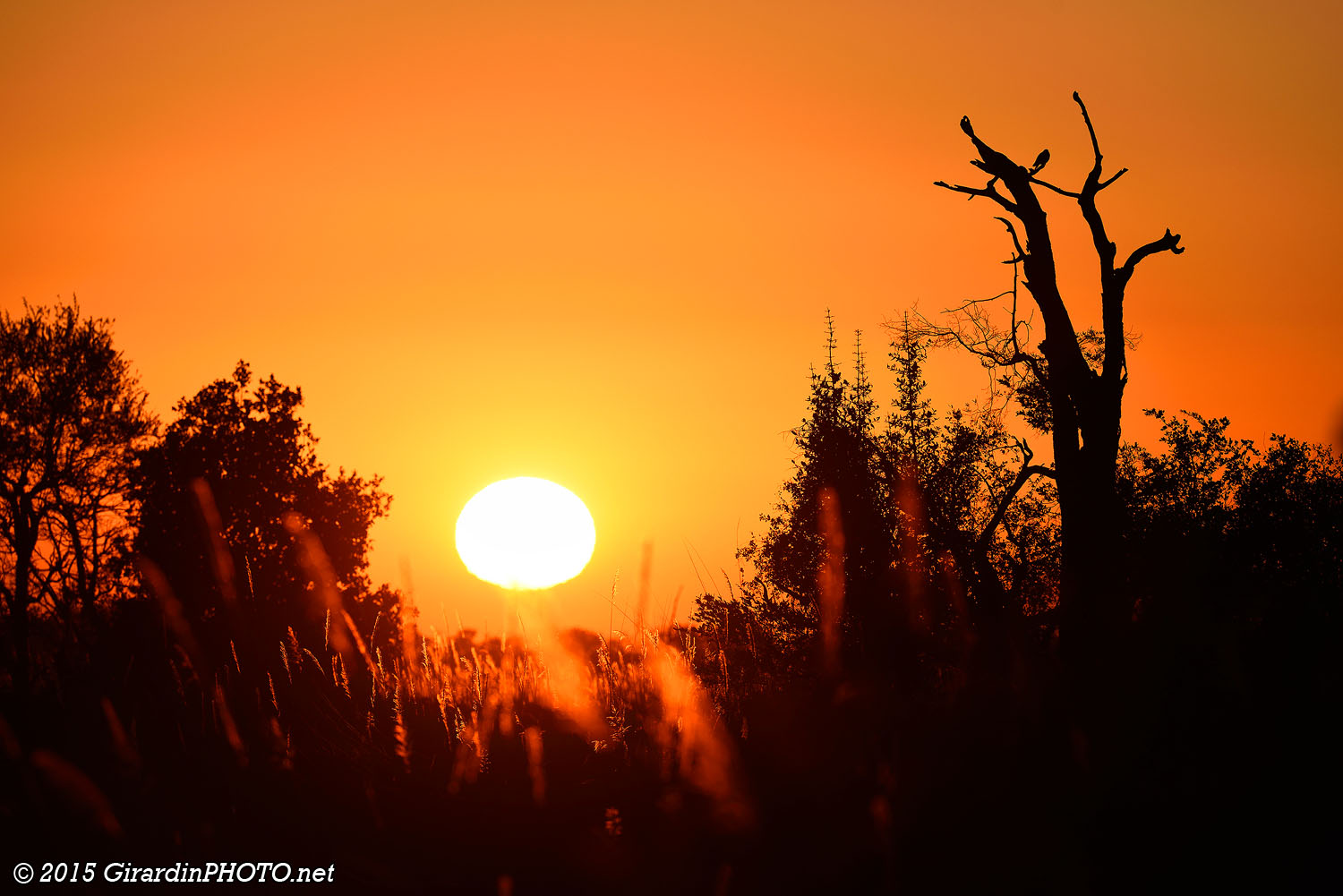 Lever de soleil sur l'Okavango