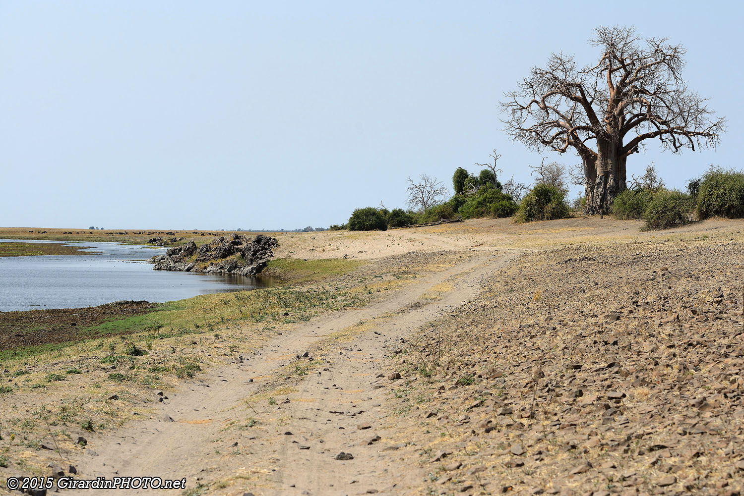 Piste le long de Chobe River