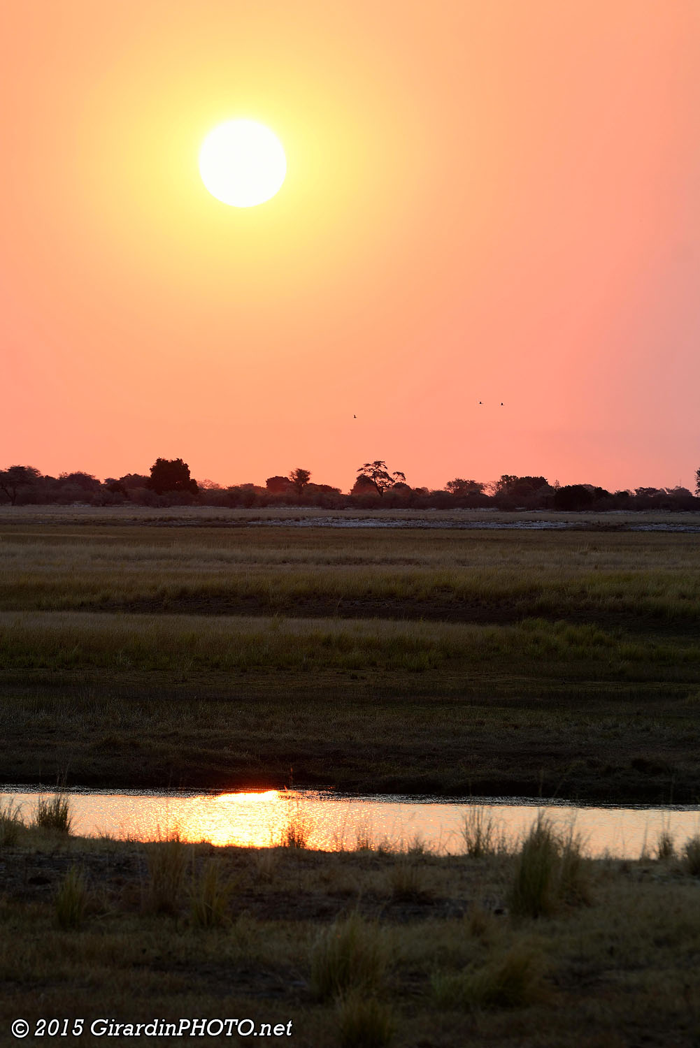 Coucher de soleil sur Chobe River