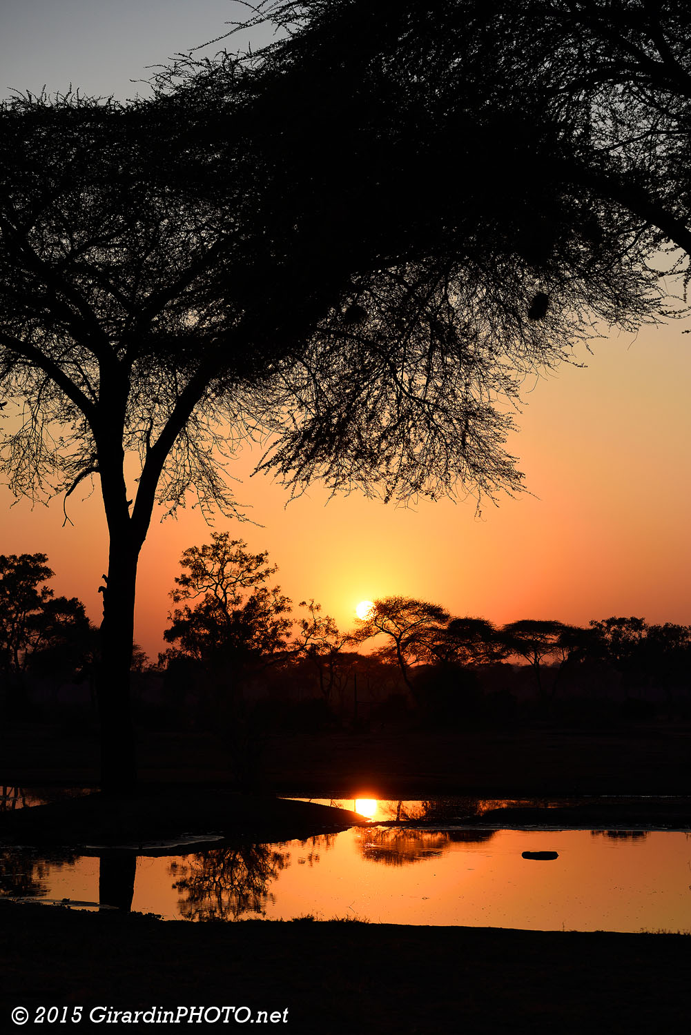 Lever de soleil sur le point d'eau du Senyati Safari Campsite