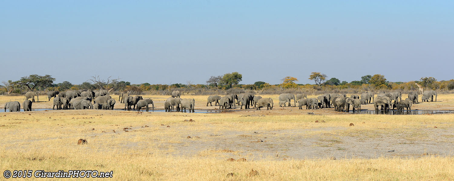 Point d'eau de Nyamandhlovu