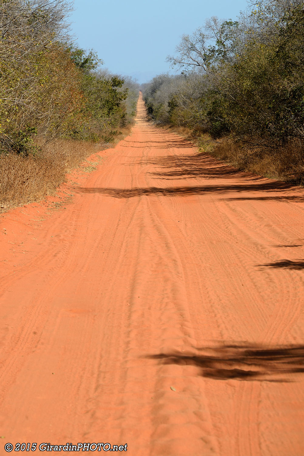 Dernière ligne droite avant d'arriver à Nymepi Camp