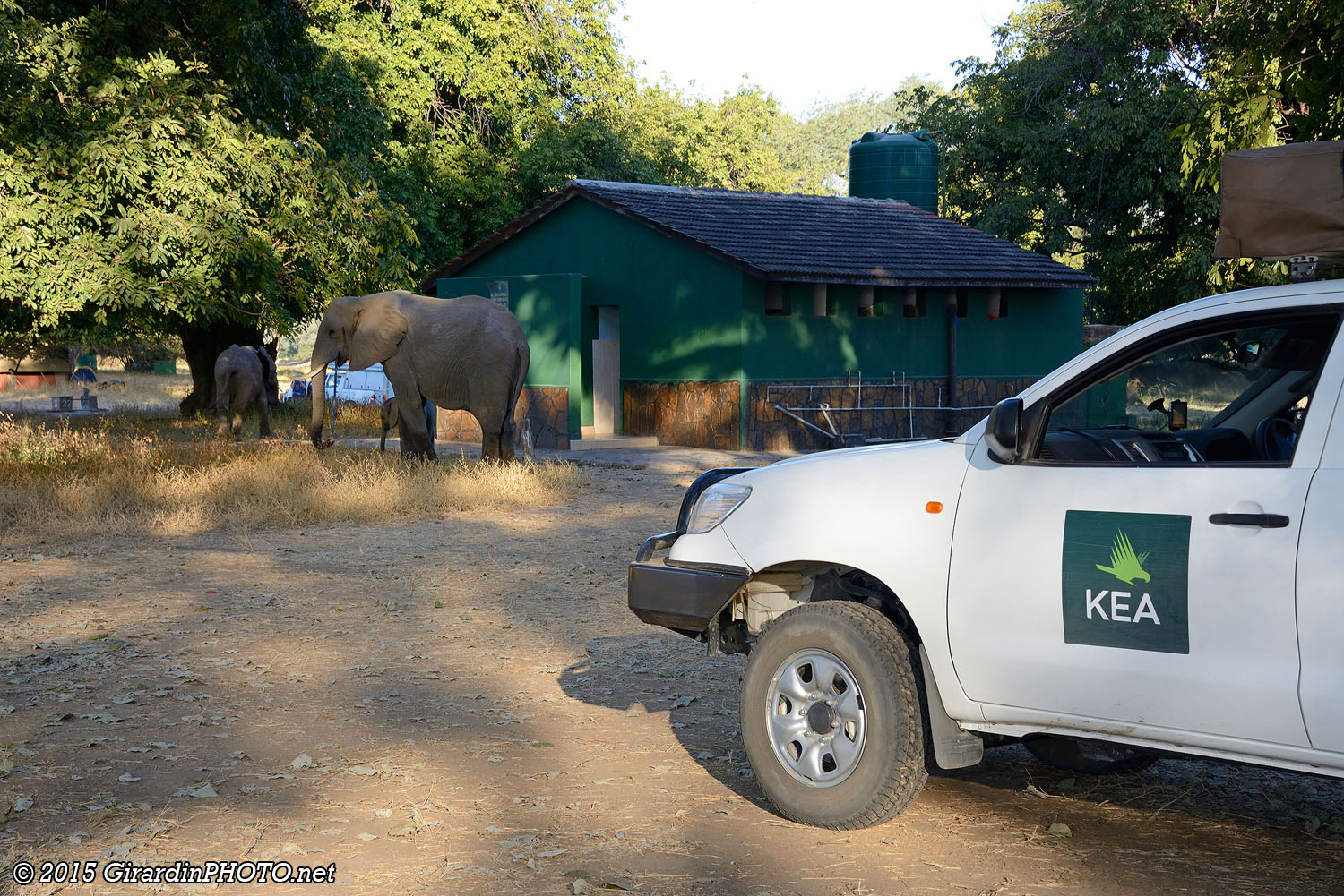 Famille d'éléphants près de l'emplacement 19