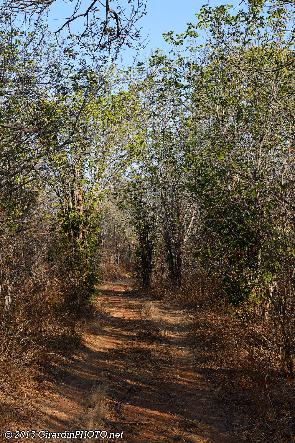 Chemin pour aller à Mashuma Pan