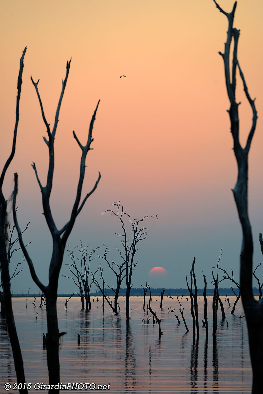 Le soleil finit par disparaître dans la brume